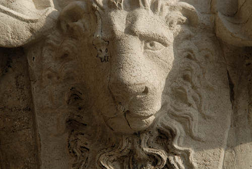 Leone di San Marco a Venezia