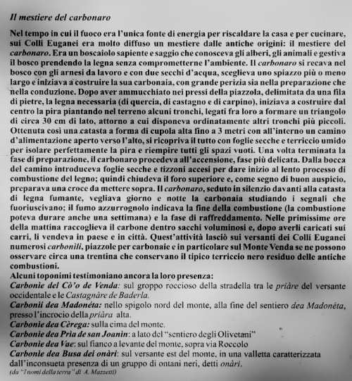 carbonaio e aie carbonili