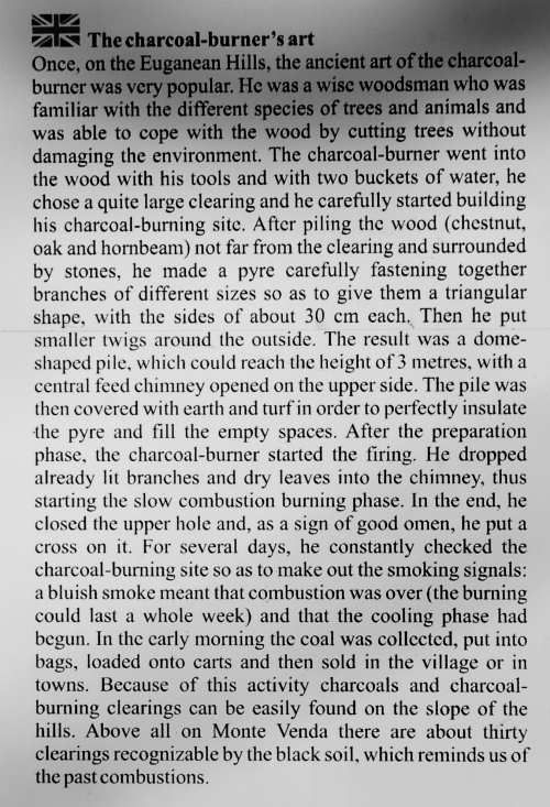 carbonaio e aie carbonili