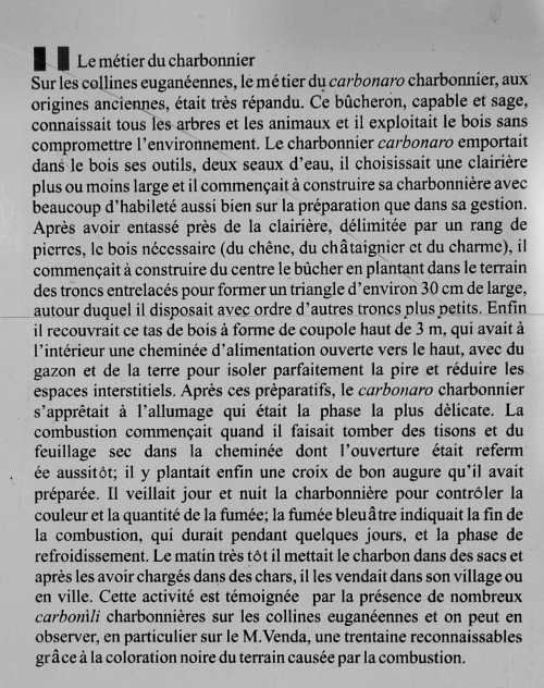 carbonaio e aie carbonili
