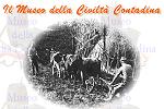 Museo della civiltá contadina