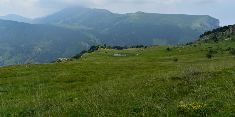 Riserva Naturale Bes-CornaPiana a Brentonico nel Monte Baldo