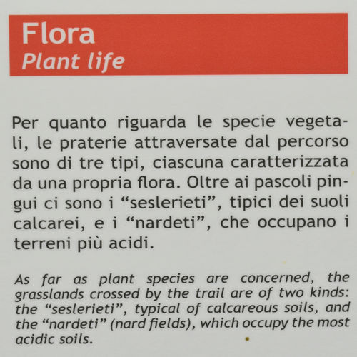 Riserva Naturale Bes Corna Piana, monte Baldo