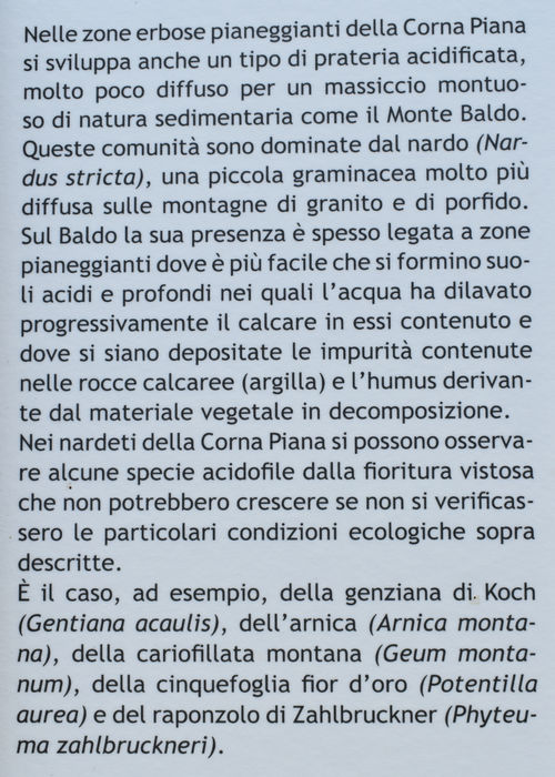 Riserva Naturale Bes Corna Piana, monte Baldo