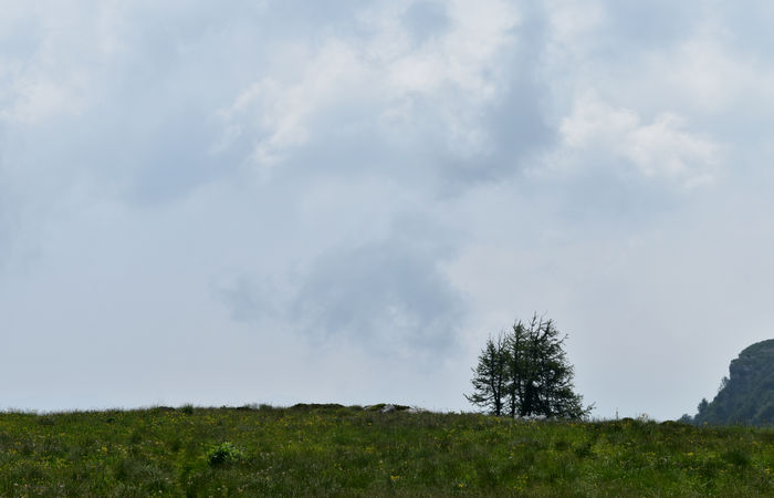 Monte Baldo, escursione Riserva Naturale Corna Piana malga Bes a Brentonico