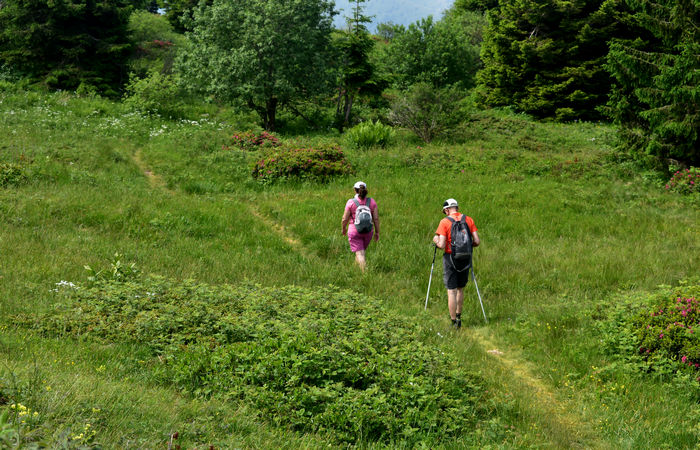 Monte Baldo, escursione Riserva Naturale Corna Piana malga Bes a Brentonico