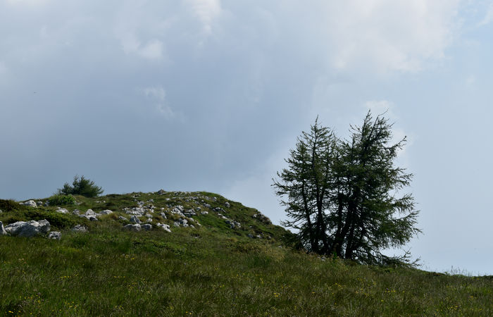 Monte Baldo, escursione Riserva Naturale Corna Piana malga Bes a Brentonico