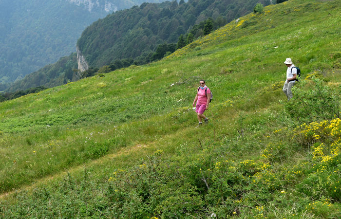 Monte Baldo, escursione Riserva Naturale Corna Piana malga Bes a Brentonico
