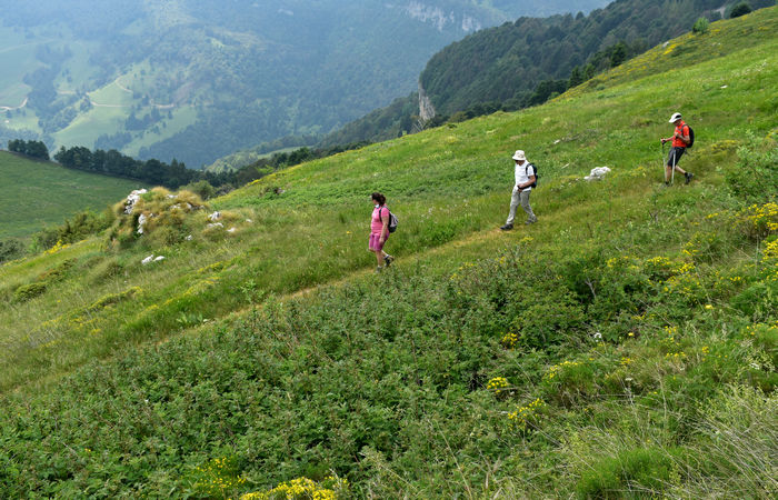 Monte Baldo, escursione Riserva Naturale Corna Piana malga Bes a Brentonico