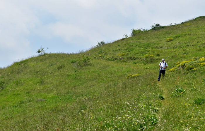Monte Baldo, escursione Riserva Naturale Corna Piana malga Bes a Brentonico