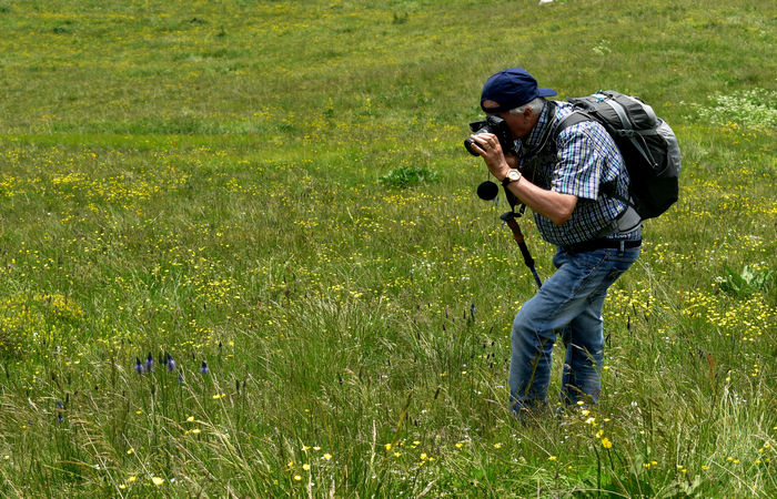 Monte Baldo, escursione Riserva Naturale Corna Piana malga Bes a Brentonico