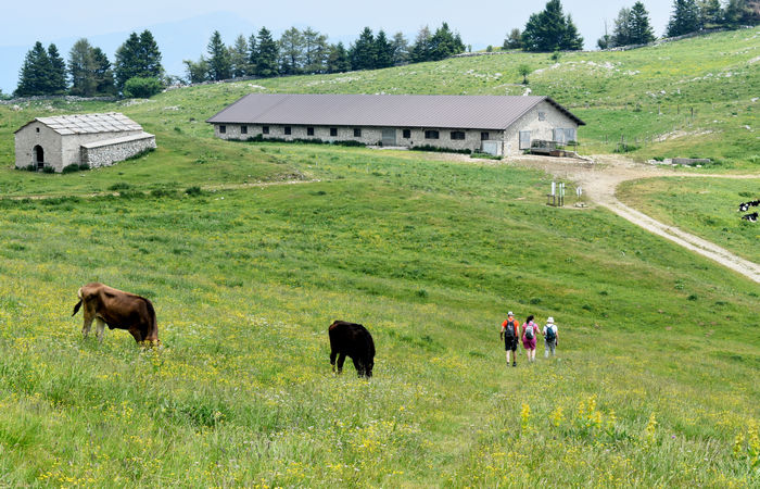 Monte Baldo, escursione Riserva Naturale Corna Piana malga Bes a Brentonico