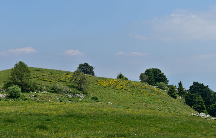 Monte Baldo, escursione Riserva Naturale Corna Piana malga Bes a Brentonico