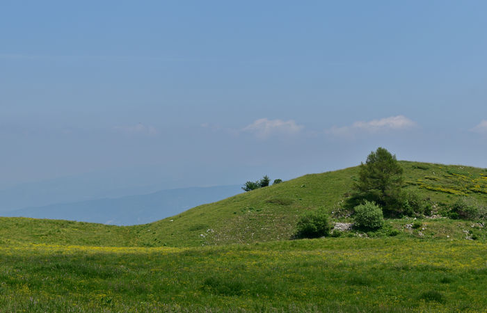 Monte Baldo, escursione Riserva Naturale Corna Piana malga Bes a Brentonico