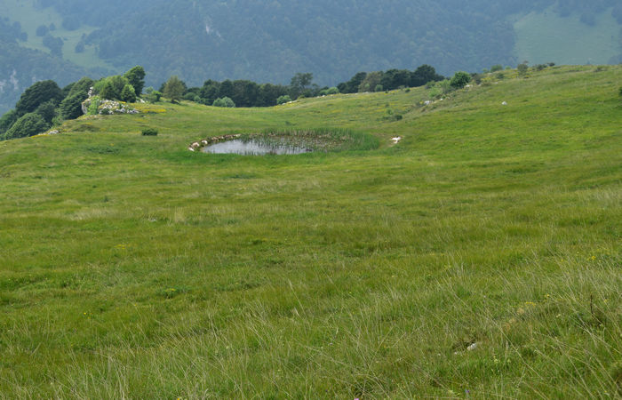 Monte Baldo, escursione Riserva Naturale Corna Piana malga Bes a Brentonico