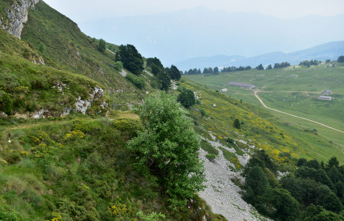 Monte Baldo, escursione Riserva Naturale Corna Piana malga Bes a Brentonico