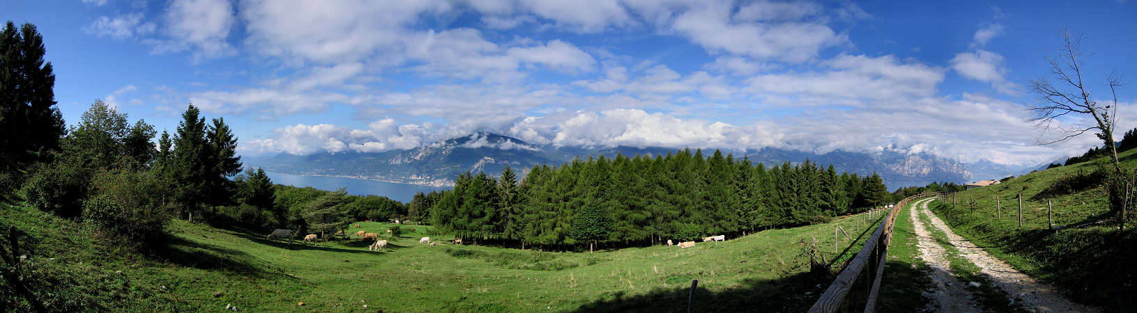 lago di Garda, veduta sul lago di Garda nei pressi di Brenzone