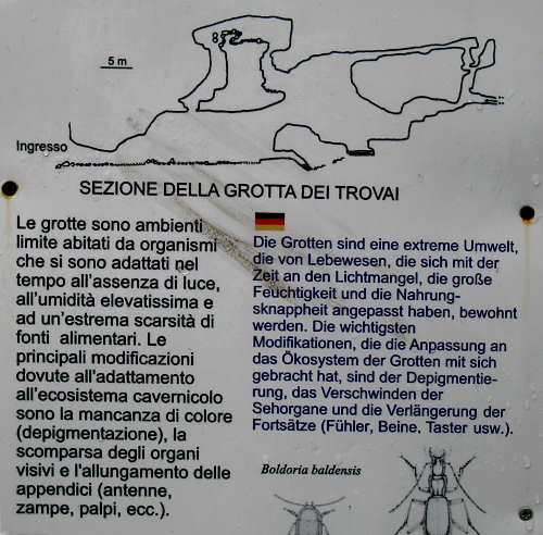 Brenzone - Monte Baldo e Lago di Garda