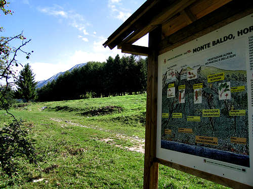 Brenzone - Monte Baldo e Lago di Garda