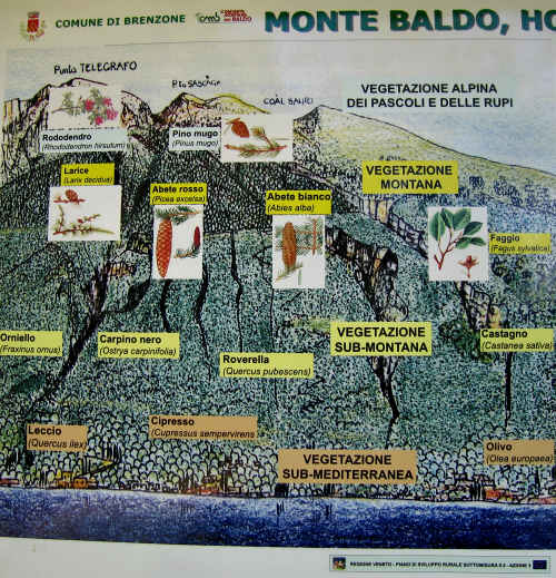 Brenzone - Monte Baldo e Lago di Garda