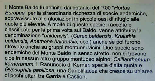 Brenzone - Monte Baldo e Lago di Garda