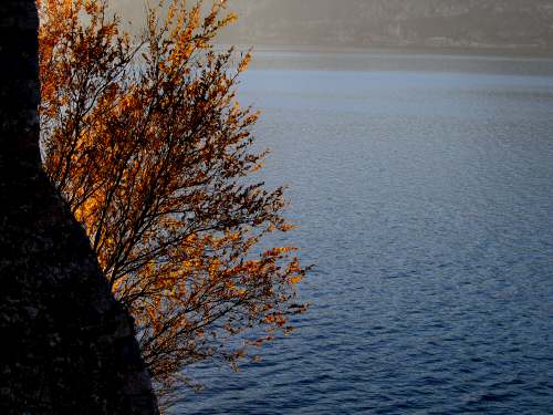 Malcesine - Lago di Garda