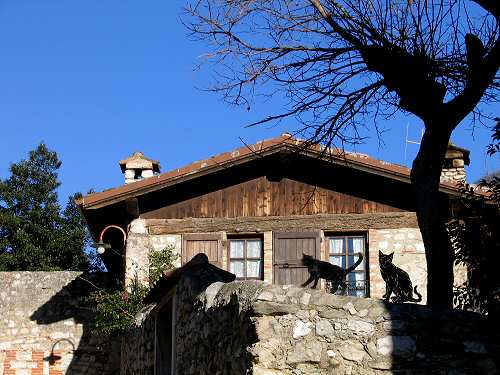 Malcesine - Lago di Garda