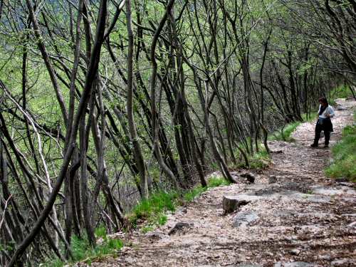 Santuario Madonna della Corona Brentino Belluno Val d'Adige Spiazzi di Ferrara di Monte Baldo