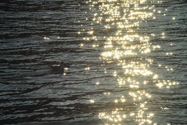 Sirmione, lago di Garda