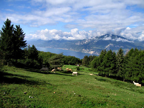Brenzone, lago di Garda dal monte Baldo