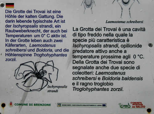 Brenzone - Monte Baldo e Lago di Garda