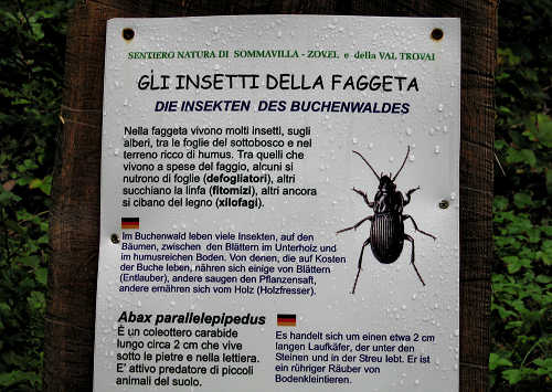 Brenzone - Monte Baldo e Lago di Garda