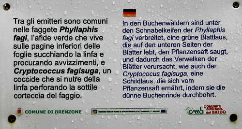 Brenzone - Monte Baldo e Lago di Garda