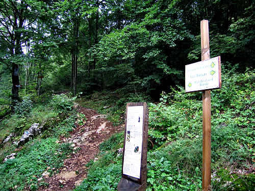 Brenzone - Monte Baldo e Lago di Garda