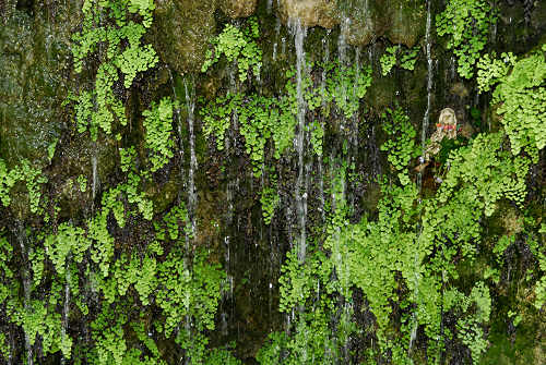 Valrovina di Bassano del Grappa