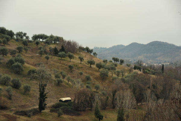 Col Bastia, Colle di Dante a Romano Alto d'Ezzelino