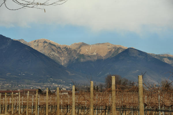 escursione Collalto Liedolo Col San Lorenzo a San Zenone degli Ezzelini