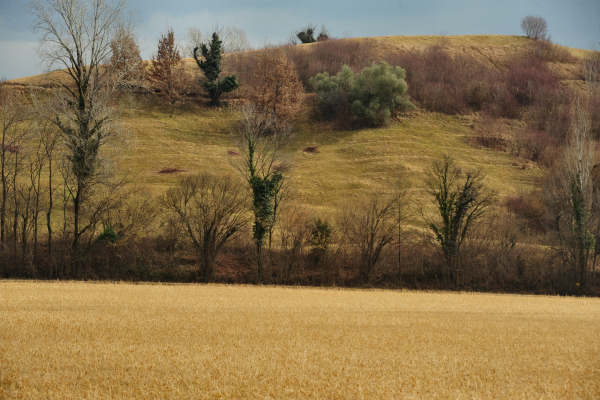 escursione Collalto Liedolo Col San Lorenzo a San Zenone degli Ezzelini