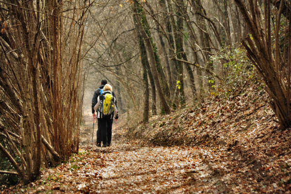 escursione Collalto Liedolo Col San Lorenzo a San Zenone degli Ezzelini