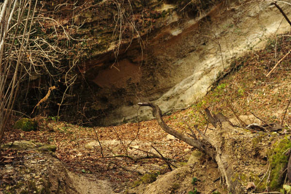 escursione Collalto Liedolo Col San Lorenzo a San Zenone degli Ezzelini