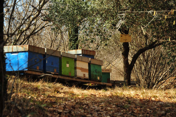 escursione Collalto Liedolo Col San Lorenzo a San Zenone degli Ezzelini