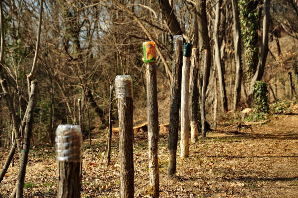 escursione Collalto Liedolo Col San Lorenzo a San Zenone degli Ezzelini