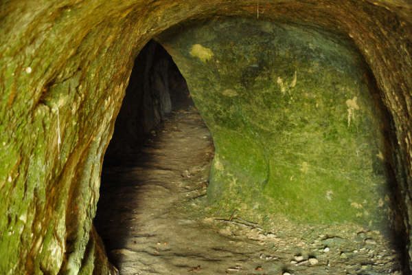 escursione Collalto Liedolo Col San Lorenzo a San Zenone degli Ezzelini