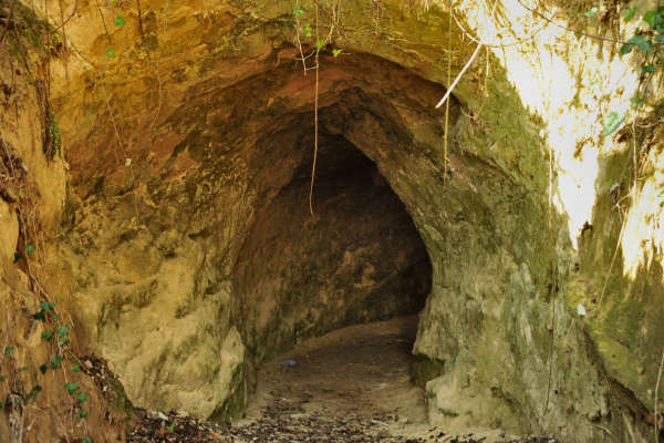 escursione Collalto Liedolo Col San Lorenzo a San Zenone degli Ezzelini