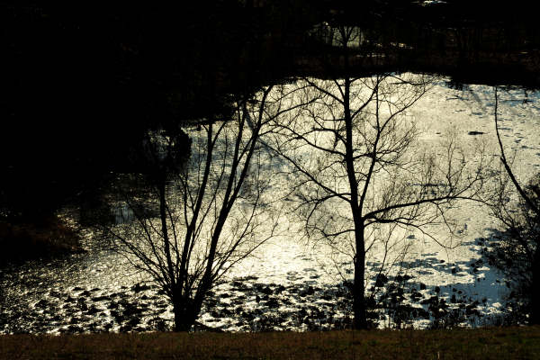 escursione Collalto Liedolo Col San Lorenzo a San Zenone degli Ezzelini