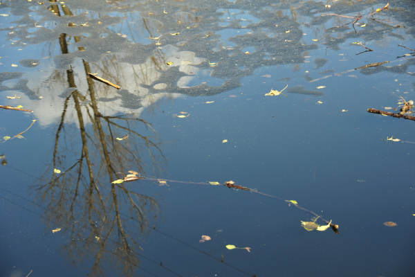 escursione Collalto Liedolo Col San Lorenzo a San Zenone degli Ezzelini