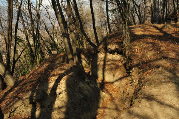 escursione Collalto Liedolo Col San Lorenzo a San Zenone degli Ezzelini