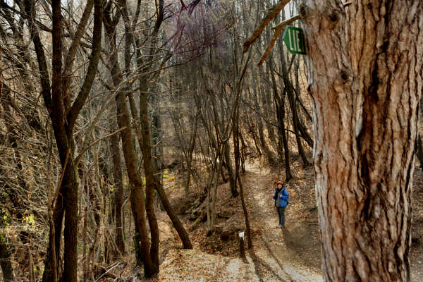 escursione Collalto Liedolo Col San Lorenzo a San Zenone degli Ezzelini