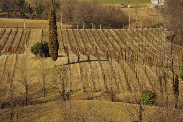 escursione Collalto Liedolo Col San Lorenzo a San Zenone degli Ezzelini