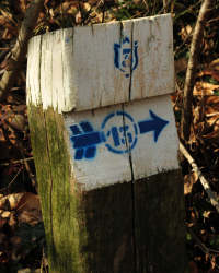 Sentiero 3 del Collalto